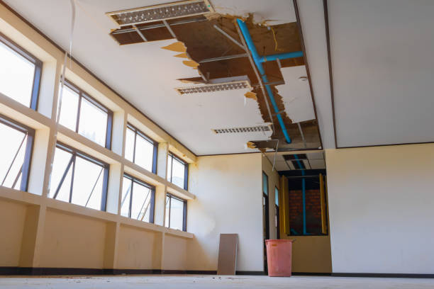 Best 24/7 water damage repair  in Flanders, NY