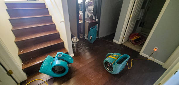 Best Residential water damage restoration  in Flanders, NY