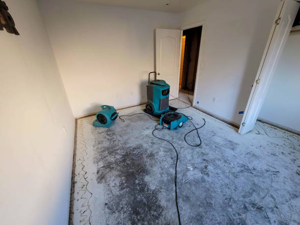 Best Flood damage cleanup  in Flanders, NY