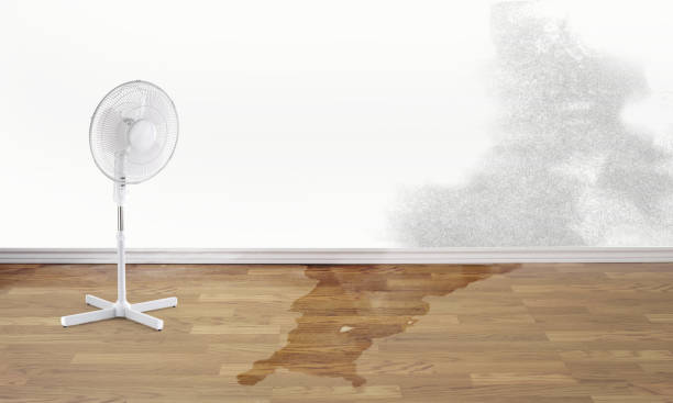 Best Flood restoration services  in Flanders, NY
