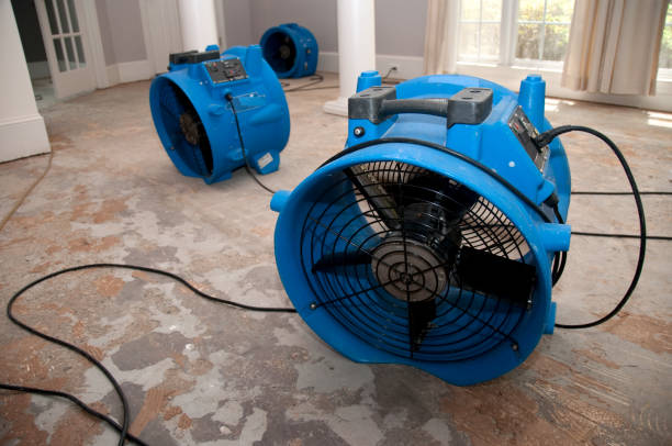Best Water damage contractors near me  in Flanders, NY