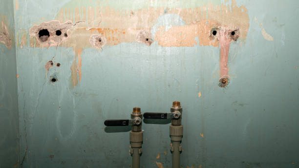 Best Ceiling water damage repair  in Flanders, NY